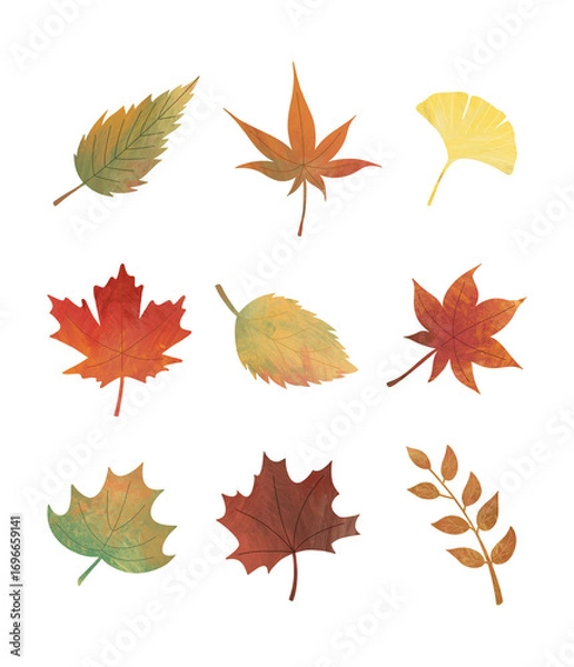 Obraz Collection of autumn leaves illustration set on transparent background
