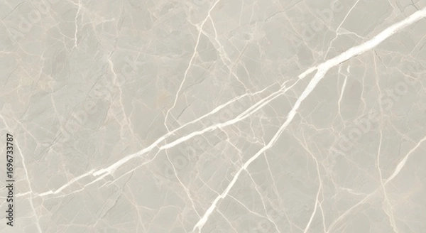 Obraz Seamless grey marble texture with white veins, abstract background