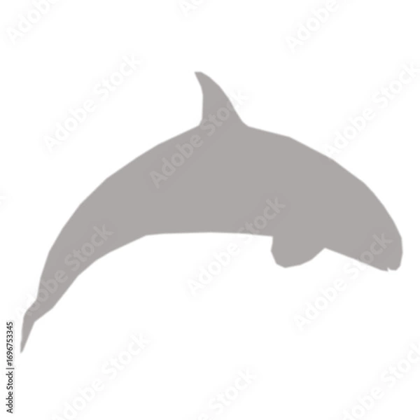 Fototapeta Gray orca whale silhouette on black background