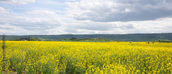 Obraz View of the landscape around the devil's wall rock formation in the Harz Mountains in Germany.