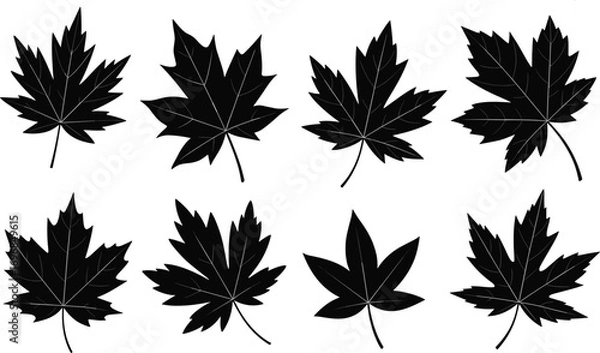 Fototapeta Maple leaf silhouette vector set, autumn foliage collection for seasonal designs, Canadian leaves outline for nature, botanical, and fall graphics.