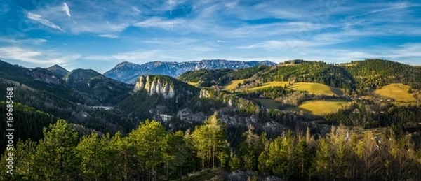 Fototapeta 20 Schilling Blick