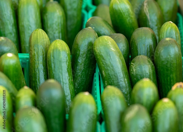 Fototapeta fresh cucumbers background
