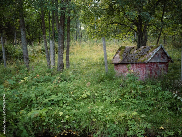 Obraz old abandoned doghouse behind a fence in the woods