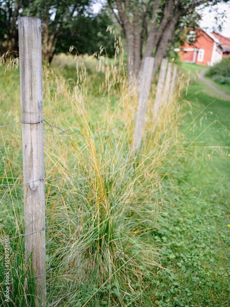 Obraz Wooden fence poles with metal net fence and grass