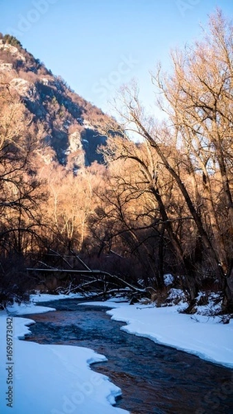 Obraz A wintry mountain stream