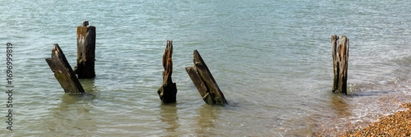 Fototapeta Panorama of remains of old wooden jetty in sea for use as background