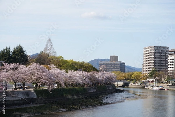 Fototapeta 桜 広島
