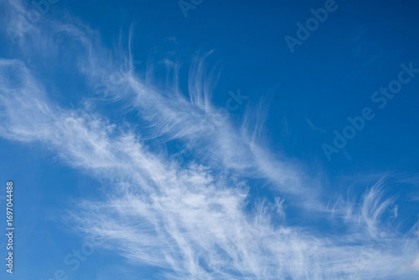 Obraz Wispy cirrus clouds in the blue sky. Natural cloud formations creating light patterns.