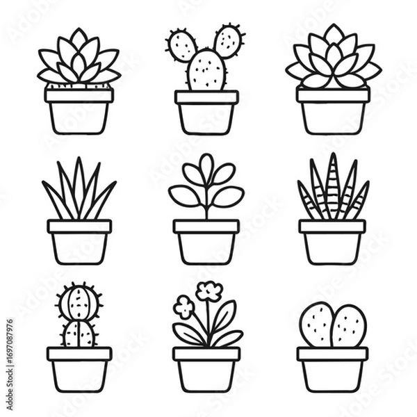 Fototapeta Cacti indoor vector kalanchoe potted plant cactus lithops jade icon moon zebra