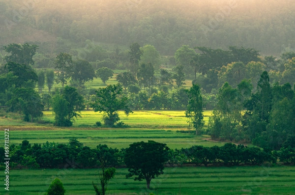 Fototapeta Beautiful view of morning light hitting fog, mountains, trees and green rice fields in the countryside in Chiang Rai. Northern Thailand.