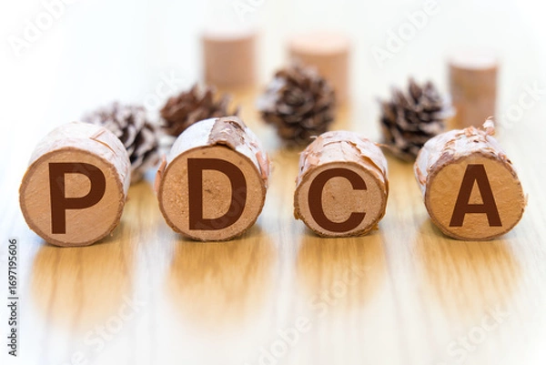 Obraz 丸太に書かれた　PDCA　の文字
