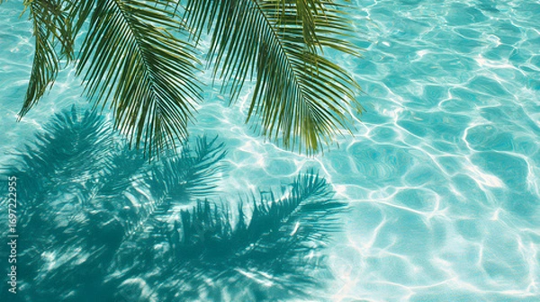 Fototapeta Palm tree leaves casting shadow on turquoise water