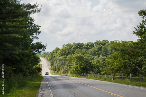 Fototapeta Canada countryside open road heading through trees towards a mountain and car in the distance
