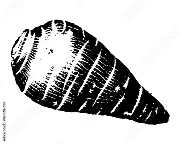 Fototapeta Vector Detailed of a halved root vegetable with visible internal structure.