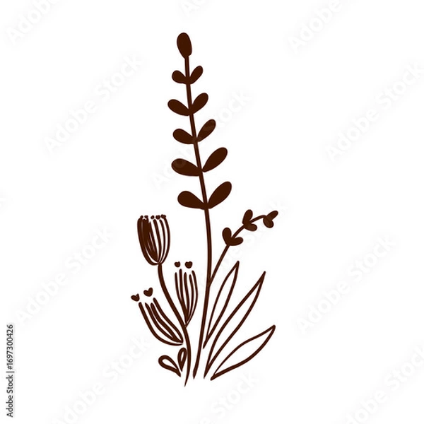 Obraz illustration of a plant