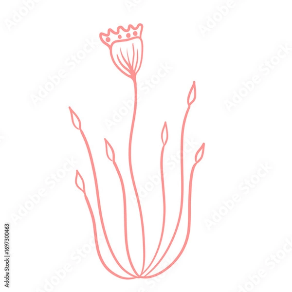 Obraz illustration of a red tulip