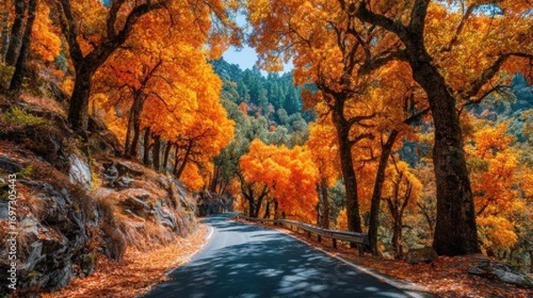 Obraz Leaf Peeping & Scenic Drives, vibrant forest road winding through orange autumn canopy, immersive rural journey showcasing seasonal foliage, peaceful scenic infrastructure, and resilient mountain