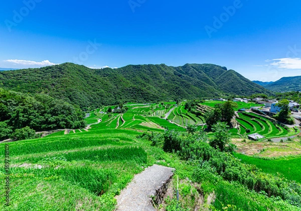 Obraz 美しい田園風景