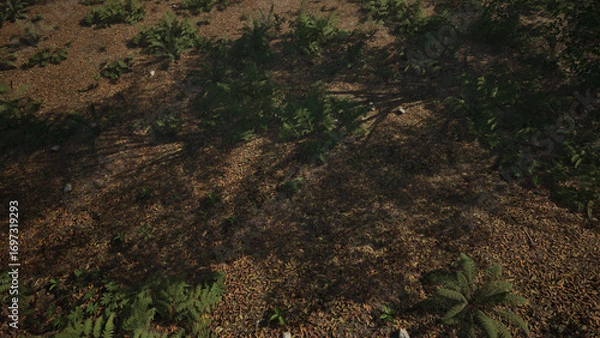 Obraz Forest 木々のささやき