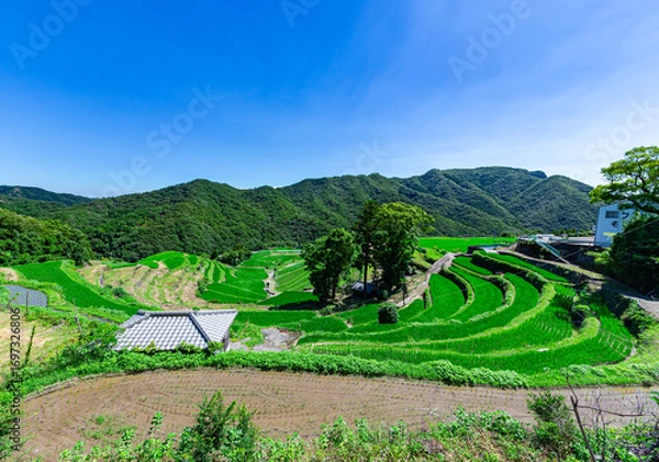 Fototapeta 美しい田園風景