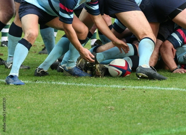 Obraz rugby