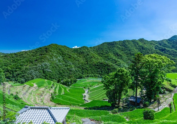 Fototapeta 美しい田園風景