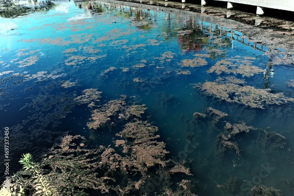 Obraz 長崎島場半島の湧水シラチコ