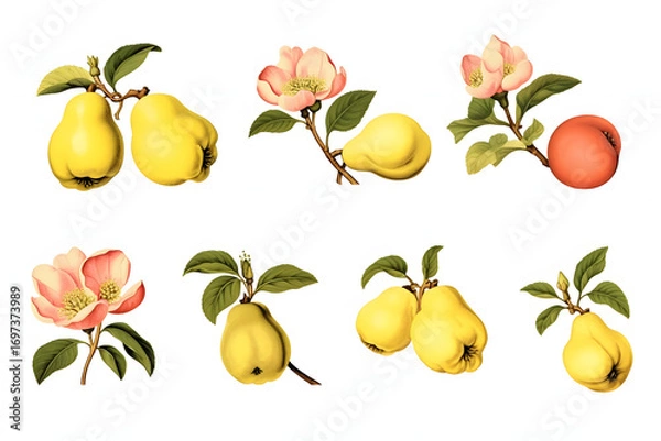 Obraz Watercolor painting of lemon branches with yellow fruit and green leaves