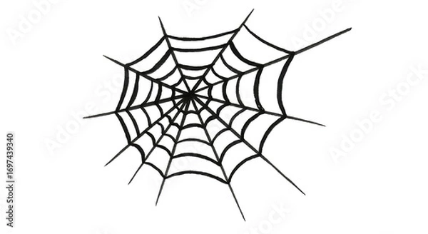 Fototapeta Simple spiderweb design