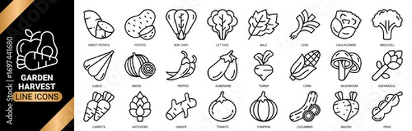 Fototapeta Garden harvest icon set collection in outline style. an icon pack containing icons of tomato, carrot, broccoli, onion, pumpkin and more. 