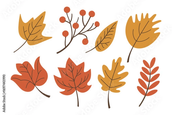 Fototapeta Autumn Leaves and Berries Collection – Hand-Drawn Fall Leaf Vector Set in Warm Colors