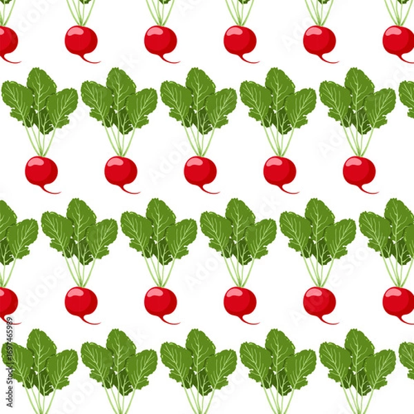 Fototapeta Fresh Radish Seamless Pattern. Vector Illustration. Red Root Vegetable with Green Leaves.