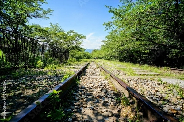 Obraz 京都、蹴上インクラインの風景