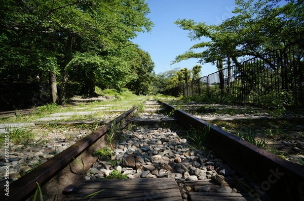 Fototapeta 京都、蹴上インクラインの風景