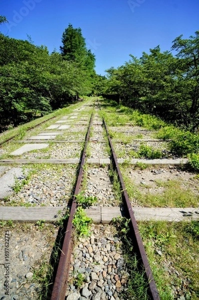Fototapeta 京都、蹴上インクラインの風景