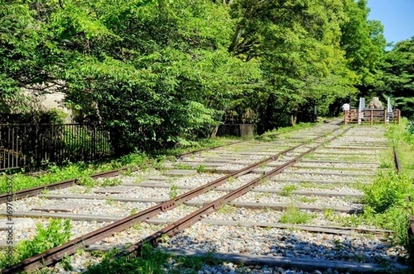 Fototapeta 京都、蹴上インクラインの風景
