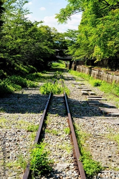 Fototapeta 京都、蹴上インクラインの風景