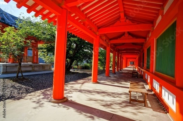 Fototapeta 京都、三十三間堂の風景