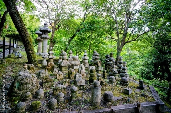 Fototapeta 京都、清水寺の風景