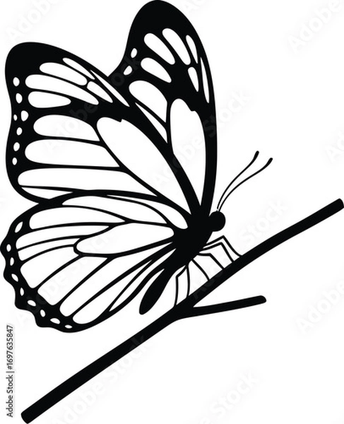 Fototapeta A butterfly is resting on a branch