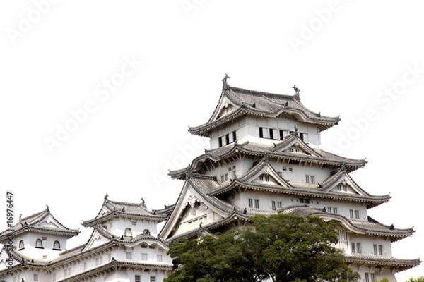 Fototapeta 姫路城