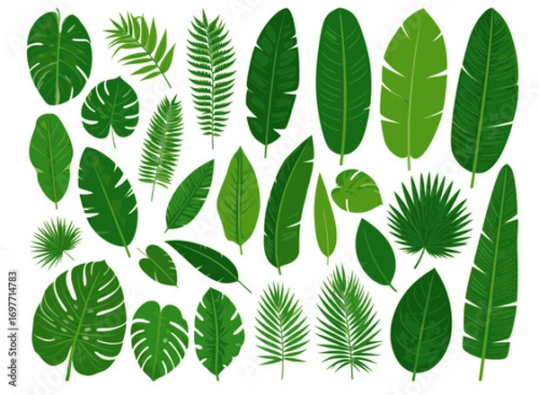 Fototapeta Collection of tropical palm tree vectors with assorted green leaf shapes, perfect for eco design, botanical illustrations, rainforest patterns, and natural decorative assets.