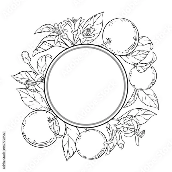Fototapeta Orange Branch with Flowers, Fruits and Leaves Outline Round Frame. Organic natural nutritional healthy food ingredient, vegetarian diet product. Vector isolated for design or decoration.