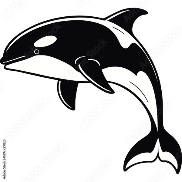 Fototapeta Orca Whale Black and White Line Art Vector Design