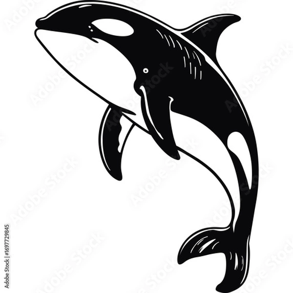 Fototapeta Minimalist Killer Whale Line Art Vector Illustration