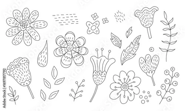 Obraz Flowers, leaves and berries doodle illustration. Hand drawn cute modern line art about plants. Black drawing for coloring