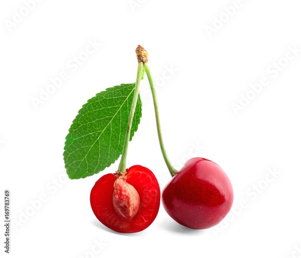 Fototapeta Fresh sweet cherries on white background