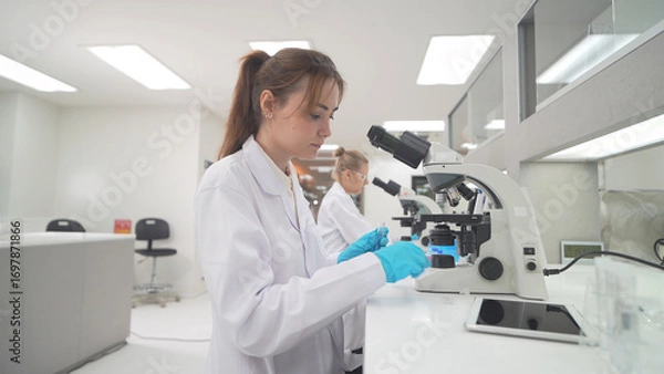 Obraz Scientist examining samples at laboratory using microscope during daylight hours