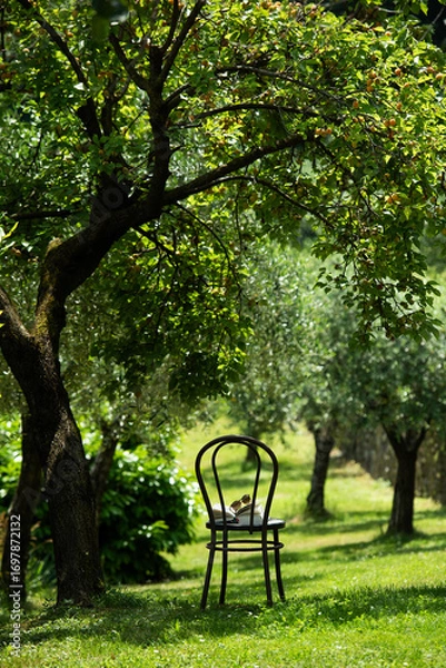 Obraz relax in natura